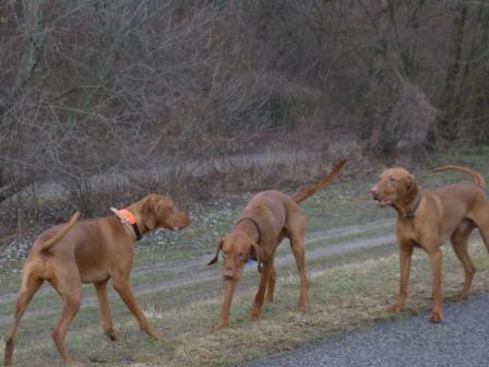 Gina, Kris, D´Hunter